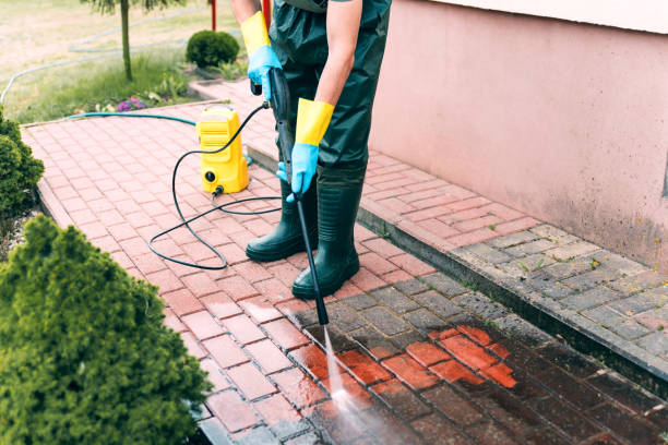 Best Roof Washing  in Eidson Road, TX
